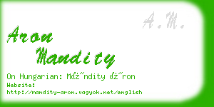 aron mandity business card